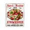 Stupell Industries Sweet Meadow Strawberries Wall Plaque Art Design by Creatif Belle